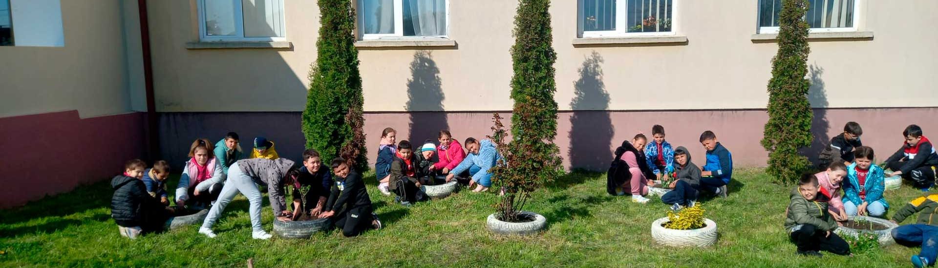 Școala Gimnazială "Petru Rareș" Ciceu-Mihăiesti